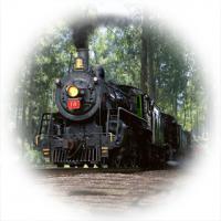 Williston Crossings Brochure: MailTrain copy.jpg